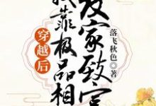 穿越后，我靠极品相公发家致富最新章节，穿越后，我靠极品相公发家致富免费阅读-贝壳文学