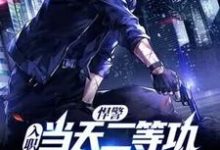 在线寻找悍警：入职当天二等功，你管这叫实习生？小说的无删减版本-贝壳文学