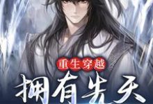 重生穿越：拥有先天纯阳体质小说，重生穿越：拥有先天纯阳体质林棋赢天凤-贝壳文学