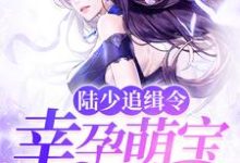完整版的陆少追缉令:幸孕萌宝亿万妻小说在哪里可以免费读到?-贝壳文学
