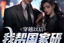 小说《穿越以后，我帮国家研究北斗导航》在线章节阅读-贝壳文学