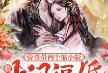 小说《救命!帝尊带两个缩小版上门逼婚》章节免费阅读-贝壳文学