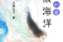 求林央游厉何妍章驰小说免费资源-贝壳文学
