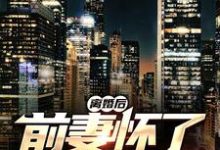 《离婚后，前妻怀了我的孩子》小说大结局免费试读 薛阳沈妤小说-贝壳文学