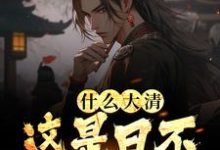什么大清，这是日不落大明小说有没有完整的免费版本在线阅读？-贝壳文学