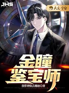 《金瞳鉴宝师》全集免费在线阅读（沈睿杨丽）