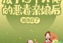 小说《成了四个大佬的恶毒亲娘后，她洗白了》章节免费阅读-贝壳文学