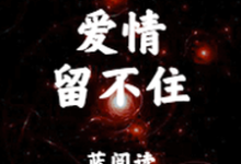 爱情留不住蓝阅读小说在线章节目录阅读最新章节-贝壳文学