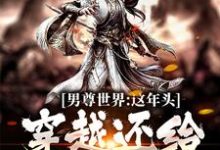 完结版《男尊世界：这年头，穿越还给发老婆》在线免费阅读-贝壳文学