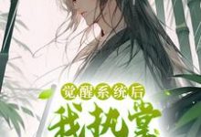 觉醒系统后,我执掌生死簿无敌了(张道临)在线免费阅读-贝壳文学
