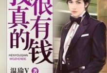 免费在线阅读我真的很有钱小说的正规网站有哪些?-贝壳文学