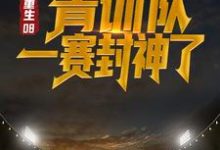 小说《重生08:青训队一赛封神了》章节免费阅读-贝壳文学