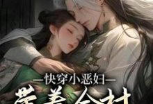 叶采苹沈知宴为主角的小说好看吗？免费读快穿小恶妇，带着全村一起奔小康-贝壳文学