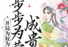 开局为奴为婢,步步为营成贵妃陈皎霍翱小说免费阅读-贝壳文学