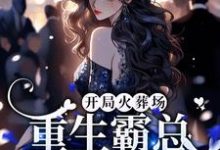 小说《开局火葬场，重生霸总追妻路漫漫》在线章节阅读-贝壳文学