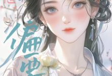 主人公叶青绾沈元霁小说如果他偏要强求呢?在线章节阅读-贝壳文学