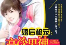 高冷男神萌萌爱小说阅读，高冷男神萌萌爱完结版-贝壳文学