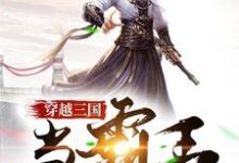 沈龙黄巾吕布马超为主角的小说叫什么？免费看穿越三国当霸王-贝壳文学