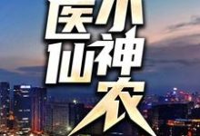 医仙小神农小说,医仙小神农免费阅读-贝壳文学