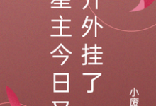 哪里能找到星主今日又开外挂了小说的全部章节？-贝壳文学