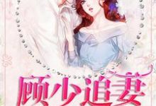 已完结小说《顾少追妻三十六计》在线章节阅读-贝壳文学