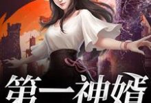 释言于浅笑沈醉倾小说在线章节免费阅读(第一神婿无弹窗无删减)-贝壳文学