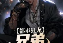 已完结小说《都市狂龙：兄弟，哥罩着你！》章节在线阅读-贝壳文学