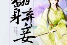 哪里能找到翻身弃妾小说的最新更新和免费章节？-贝壳文学