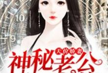江清月沈渊秦诗琪小说叫什么(天价娇妻:神秘老公,爱不停免费阅读)-贝壳文学