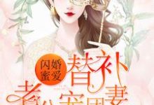 已完结小说《闪婚蜜爱：替补老公团宠妻》章节在线阅读-贝壳文学