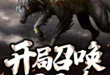开局召唤一只二哈这本小说在哪里可以看？哪里有免费试读章节？-贝壳文学