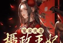 宠妾灭妻？摄政王妃她不干了小说，宠妾灭妻？摄政王妃她不干了最新章节-贝壳文学