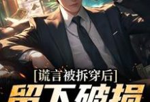 谎言被拆穿后，留下破损的婚姻小说，谎言被拆穿后，留下破损的婚姻最新章节-贝壳文学