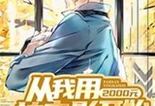 完结版《从我用2000元拍电影开始》章节阅读-贝壳文学