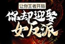 让你王者开局,你却迎娶女反派?这本小说怎么样?免费在线阅读试试-贝壳文学