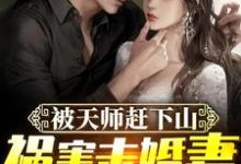 被天师赶下山，祸害未婚妻小说的无弹窗阅读体验，寻找免费阅读网站-贝壳文学