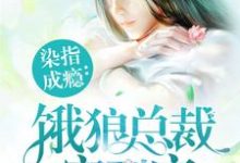 夏望莫斯南莫梵洛为主角的小说叫什么？免费看染指成瘾：饿狼总裁宠到底-贝壳文学