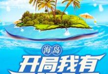 已完结小说《海岛:开局我有无限金币》章节在线阅读-贝壳文学