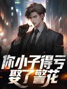 小说《你小子得亏娶了警花》章节阅读