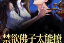 免费看禁欲佛子太能撩,她意乱情迷了小说的网站有哪些?-贝壳文学