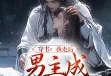 穿书：我走后，男主成黑莲花了小说，穿书：我走后，男主成黑莲花了章节在线阅读-贝壳文学