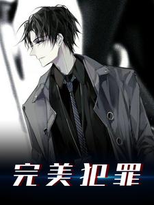 已完结小说《完美犯罪》在线章节阅读