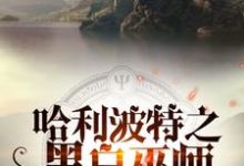小说《哈利波特之黑白巫师》在线章节阅读-贝壳文学