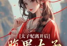 太子妃离开后，腹黑太子急疯了小说有没有完结版在线？-贝壳文学