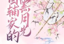 首辅家的黑月光小说最新更新在哪里？免费在线看-贝壳文学