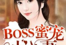 哪里能找到BOSS蜜宠小小妻小说的全部章节？-贝壳文学