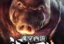 主角叫卞庄小说魂穿西游：我有万倍暴击系统章节免费阅读-贝壳文学