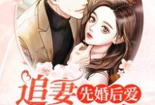 白夕寒冷年是哪本书的主角？先婚后爱：追妻全程候命免费读-贝壳文学