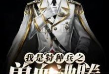 求推荐可以免费阅读我是特种兵之兽血沸腾小说的网站-贝壳文学