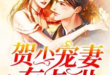 主角叫祈如影贺祟行小说贺少宠妻有点甜章节免费阅读-贝壳文学